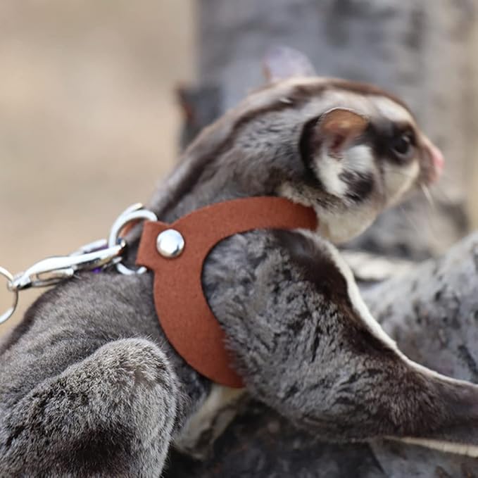 3 Pack Sugar Glider Harness and Leash Set - Adjustable Traction Rope Strap Anti-Biting Chain Rope, Small Animal Training Walking Vest Leash for Sugar Glider Squirrel Hamster Rat Birds Reptile (Brown)