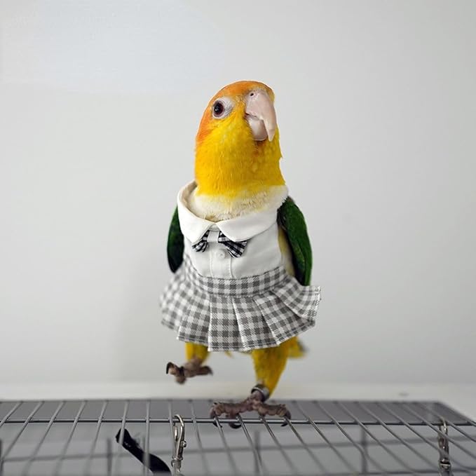 Bird Costume Bird Diaper Flight Suit Cute JK Dress Dress Skirt Clothes Cosplay Photo Prop for Parrots Macaw Cockatoo (Without Diaper,Sulphur-Crested Cockatoo)