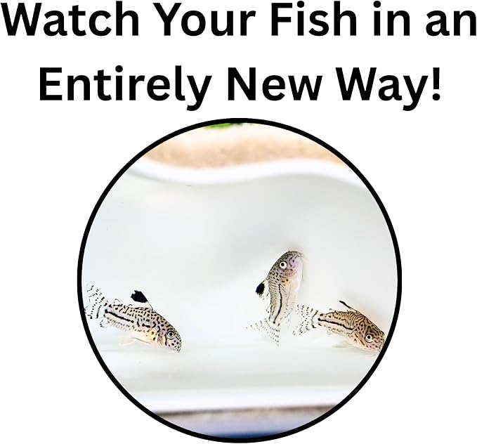 Aquarium Underground Corner Cave Natural Curve | Viewing Fish & Shrimp Under Gravel Tunnel | Fish Tank Decor Decoration Hideout Perfect for Corydora Catfish, Kuhli Loach, Pleco (White)