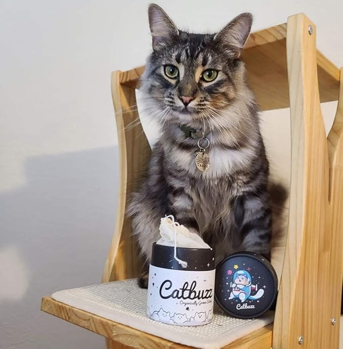 Catbuzz Premium and Organically Grown Catnip, Fresh, Grown by Family Farmers in The USA, All-Natural, Eco-Friendly, Sustainable
