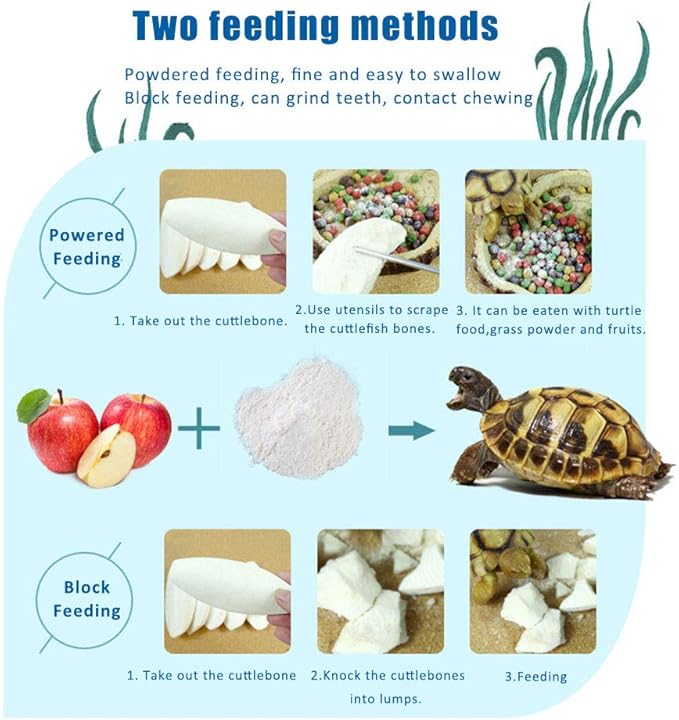 2PCS Natural Cuttlebone for Tortoise Turtles Snails Birds Cockatiels Parakeets Budgies Reptiles Small Animals(4"-4.5",Small)