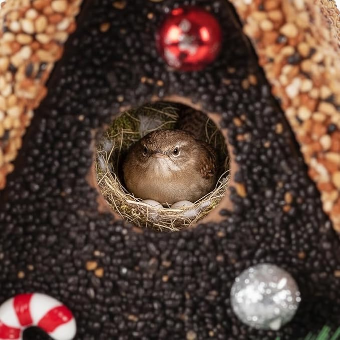 Seeded Birdhouse, Birdseeded Bird House, Wood Wren Bird Houses Covered with Wild Birdfood,Bird Feeders for Outside Hanging, A Frame Birdhouse