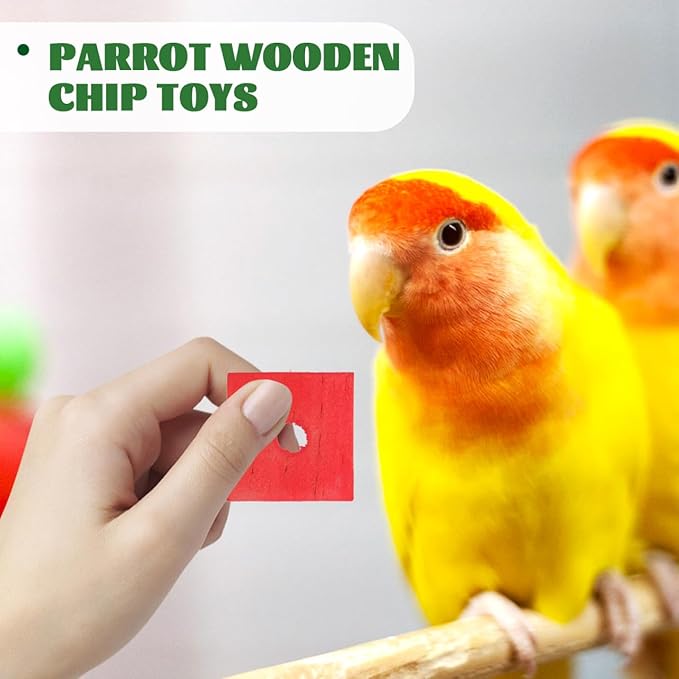 DECHOUS 100Pcs Bird Toys Wooden Blocks Parrot Toys Multicolored Natural Bird Wood Chewing Chips for Conures Parakeets Cockatiels Lovebirds African Grey Macaws Cage Fun