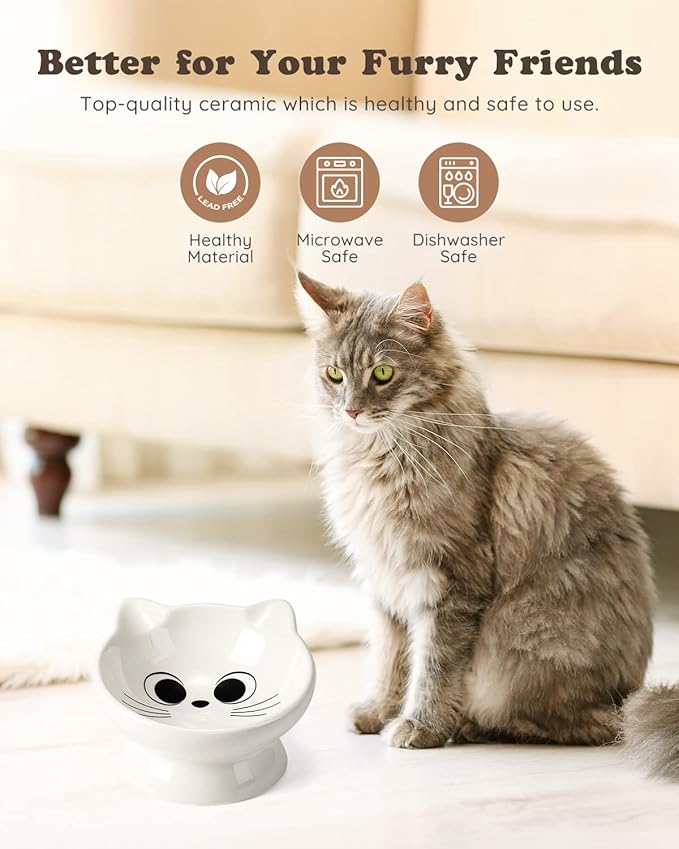 Raised Cat Food Bowl Ceramic 15° Tilted Cat Food Bowls Protect Cat's Spine Anti Vomiting Backflow Prevention for Adult, Kitten, and Small Dogs, White