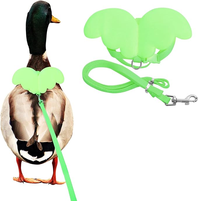 KAMA BRIDAL Duck Walking Harness and Leash Chicken Duck Outdoor Training Rope Adjustable Rope for Pet Poultry Hen Cock (S, Green)