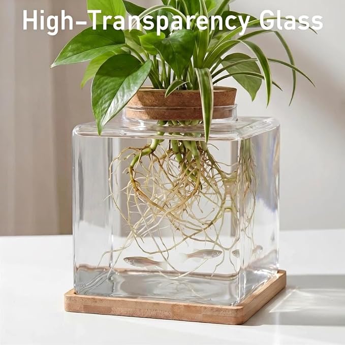 Desktop Betta Fish Tank with Wood Lid and Bamboo Stand Small Fish Bowl Glass for Beta Fish Hydroponic Plant Terrarium Aquarium Starter Kit 0.5 Gallon