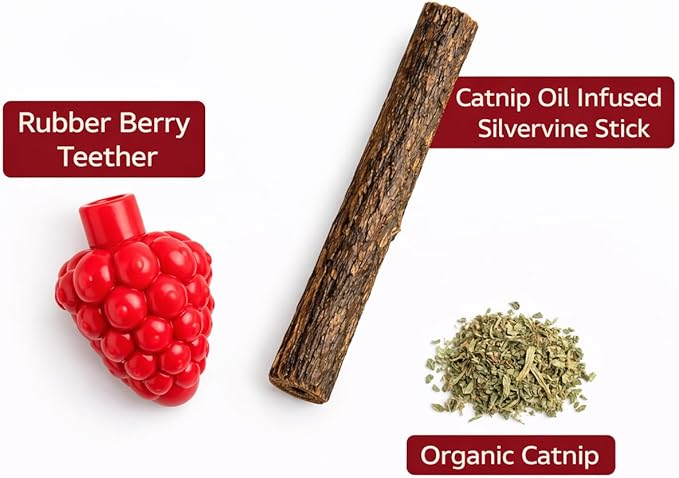 Cat Dental Teether Toy with Silvervine Chew Stick - Rubber Berry Holder with Catnip Oil Infused Matatabi Stick for Teeth Cleaning - Kitten Teething Toy for Indoor Cats (1 Teether + 1 Stick)