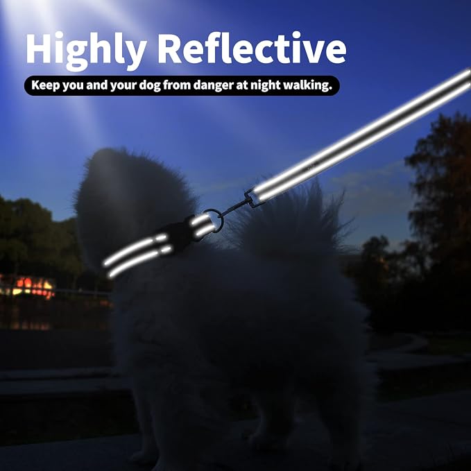 IVY&LANE Reflective Dog Collar and Leash Set,Adjustable Neoprene Padded Dog Collars for Puppy, Breathable Nylon Pet Collar for Small Medium Large Dogs (Medium,Black)