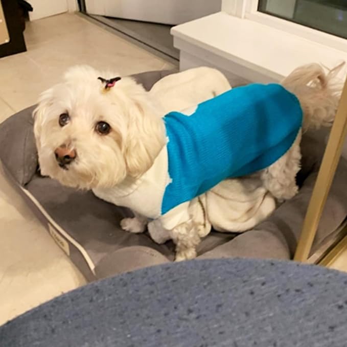 CHBORCHICEN Pet Dog Sweaters Classic Knitwear Turtleneck Winter Warm Puppy Clothing Cute Strawberry and Heart Doggie Sweater (Sky Blue, Large)