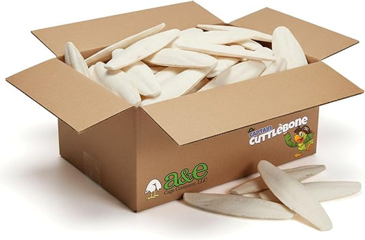 Captain Cuttlebone AE9011 Natural Bird Cuttlebone – 5lb Bulk Box of 4–6" Pieces – Calcium Supplement for Parakeets, Budgies, Finches, Canaries, Lovebirds & Small Birds