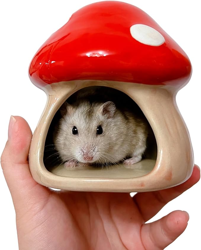 YZHZOM Ceramic Hamster Hideout - Small Animal Houses & Habitats for Mice, Gerbils, Lemmings or Other Small Pets - Accessories