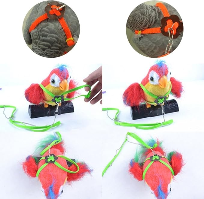Hypeety Beauty Parrot Adjustable Bird Harness and Leash Outdoor Flying Anti-bite for Bird Parrot African Grey Cockatoo Macaw Ringneck Parakeet Cockatiel Small Size Birds
