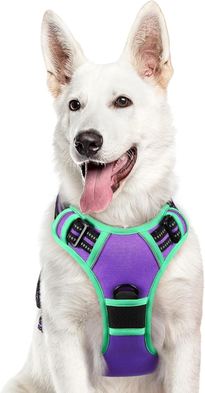 Eagloo Dog Harness for Large Dogs, No Pull Service Vest with Reflective Strips and Control Handle, Adjustable and Comfortable for Walking, No Choke Pet Harness with 2 Metal Rings, Purple & Green, XL