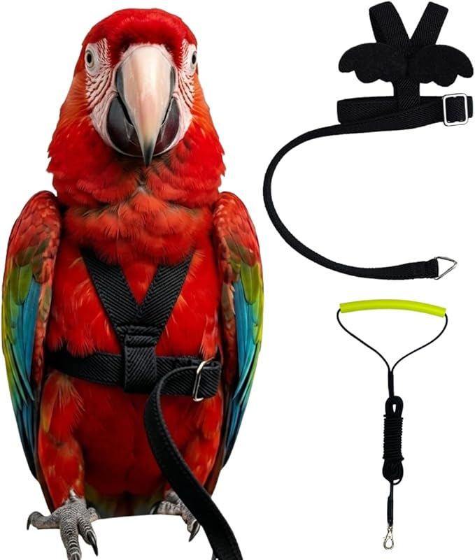 Adjustable Bird Harness with Elastic Leash, Pet Parrot Harness and Leash, Adjustable Training Design Anti-Bite, Bird Nylon Rope with Cute Wing for Conure (Black,Macaw)
