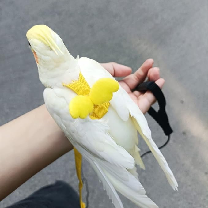Pet Parrot Bird Harness Leash Adjustable Bird Flying Harness Traction Rope with Cute for Parrots Budgerigar Lovebird Cockatiel Mynah Outdoor Training Toy (Quaker/Sun Conure,Yellow)