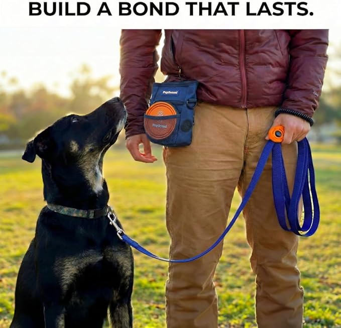 Dog Training Kit & Puppy Starter Set with 30ft Long Leash – Complete Recall System w/Magnetic Treat Pouch, Clicker, Collapsible Bowl & Waste Bags – Professional Tools (Navy Blue)