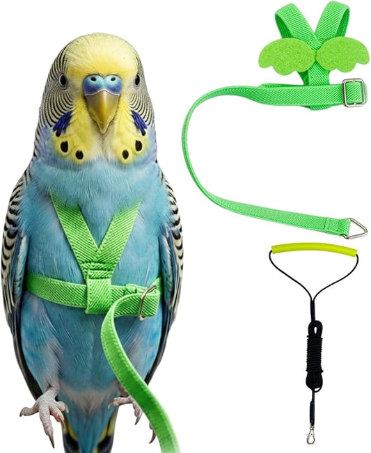 Adjustable Bird Harness with Elastic Leash, Pet Parrot Harness and Leash, Adjustable Training Design Anti-Bite, Bird Nylon Rope with Cute Wing for Conure (Green,XS)