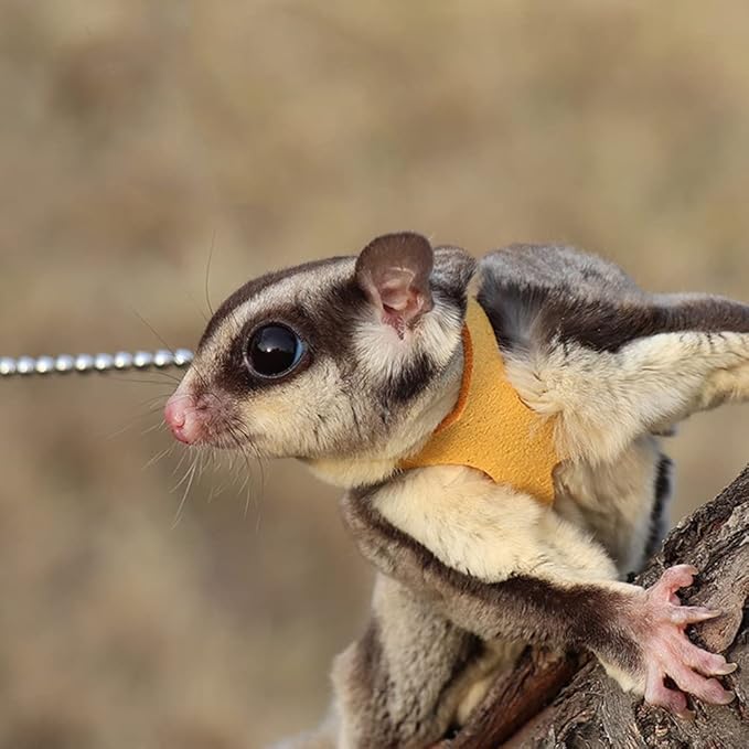 3 Pack Sugar Glider Harness and Leash Set - Adjustable Traction Rope Strap Anti-Biting Chain Rope, Small Animal Training Walking Vest Leash for Sugar Glider Squirrel Hamster Rat Birds Reptile (Yellow)