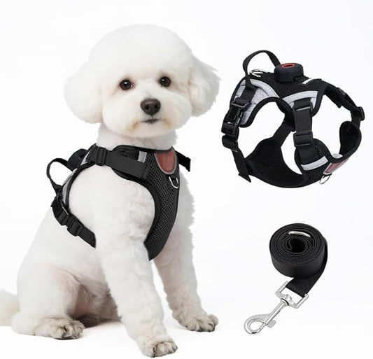 Large Cat Harness and Leash Set with Holder Compatible with AirTag, Upgraded Escape Proof Vest for Extra Large Cats Small Dogs Puppy, Mesh Outdoor Walking Jacket, Reflective Adjustable, Black, XL
