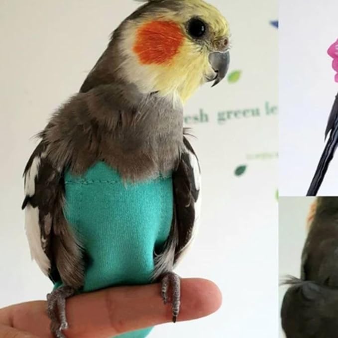 Bird Diaper Harness Flight Suit Clothes, Parrot Flight Suit with Leash for Parrot, Bird Flying Clothes for Outdoor Activities Training (Without Leash,S)