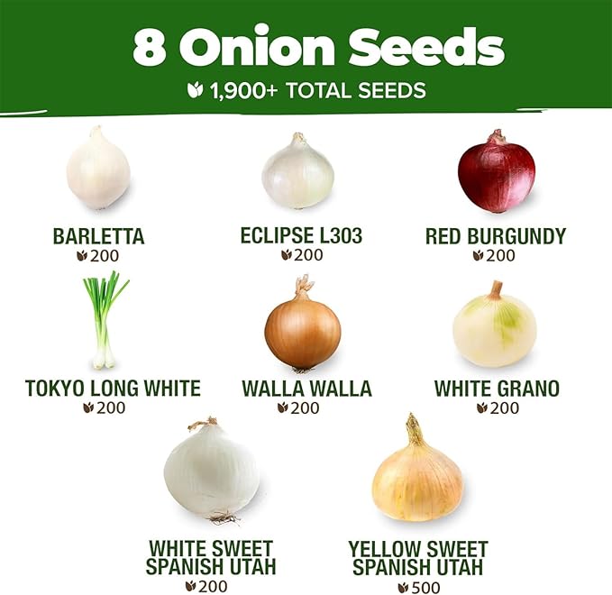 HOME GROWN 8 Onion Variety Mix 1600+ Heirloom Non-GMO Seeds for Planting, High Germination, Red, Yellow, White, Sweet Vidalia & Spanish Bulb Onions, Green Scallions,Indoor Outdoor Garden (Allium cepa)