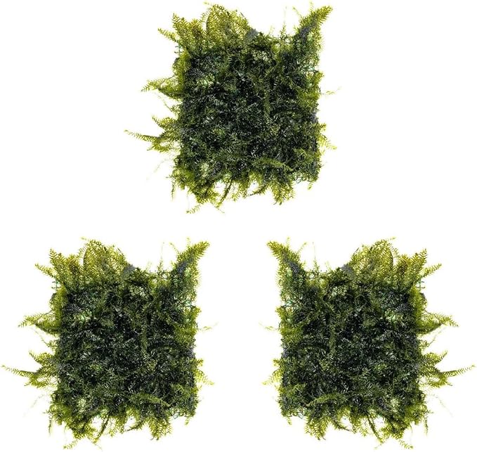 Live Aquarium Plants on Driftwood, Lava Rock, Moss, Fiber Mat - Freshwater Fish Tanks - Easy, Beginner Friendly (Fissidens Fontanus on Stainless Steel, (3 Pack))