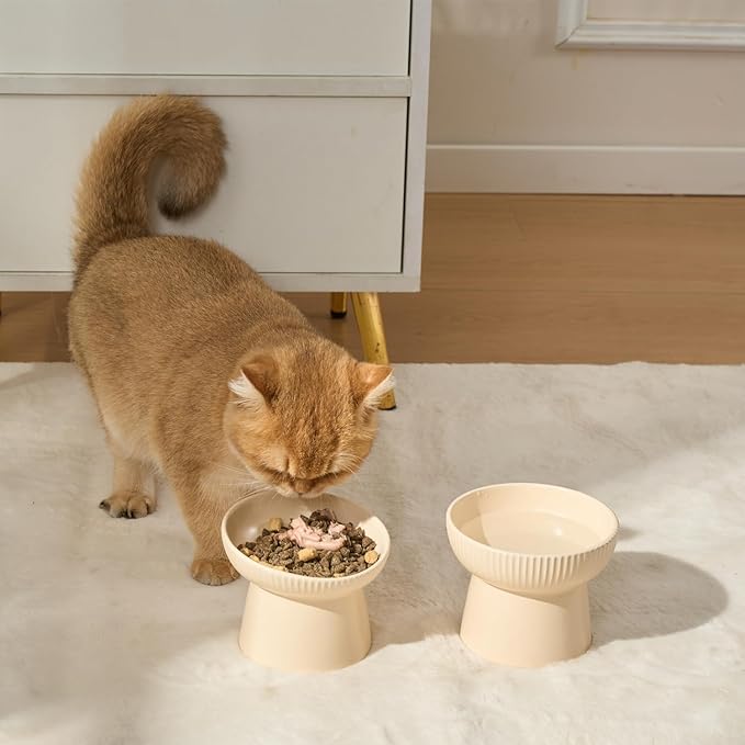 Ceramic Elevated Cat Bowls-Water Bowl, 15° Tilted Design, Anti-Vomiting & Spine Protection, Prevent Whisker Fatigue for Kittens to Adult Cats and Small Dogs (White-Elevated Cat Bowls-2)