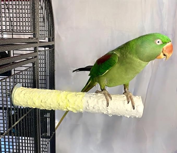 Polly's Edible Cuttlebone Calcium Bird Cage Perch for Budgies, Parakeets, Amazons, Blue & Golds, Macaws and Cockatoos.… (Pineapple, Large)