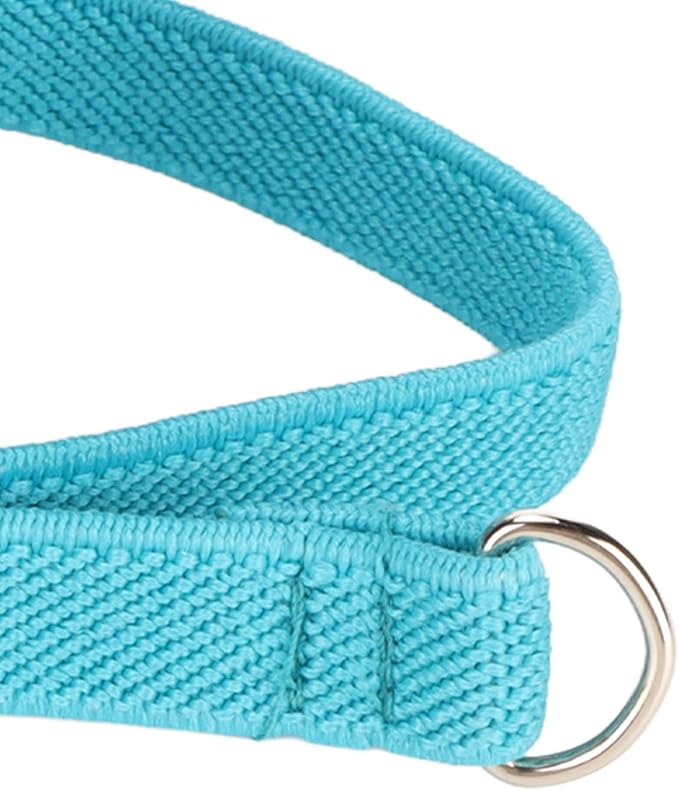 Parrot Bird Harness Leash, Adjustable Parrot Nylon Anti Bite Flying Training Rope, Easy to Wear Outdoor Flying Kit, Flight Suit with Leash for Parakeets Cockatiels Conures Budgies(L Blue)