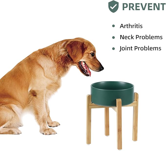 Havniva Ceramic Raised Dog Bowl Set, Elevated Dog Bowl with Stand, Food and Water Bowl for Large Breed Dogs, Weighted Pet Dishes(8.2'',60oz, Green)