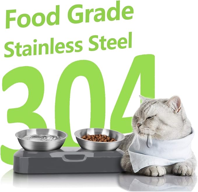 AYADA Raised Cat Food Bowl, Stainless Steel Cat Dish for Dry Wet Food Water, Anti Vomiting Elevated with Stand Ergonomic Lifted Slanted Tilted 15 Angle Metal Single Kitty Kitten Pet Bowl (Double)