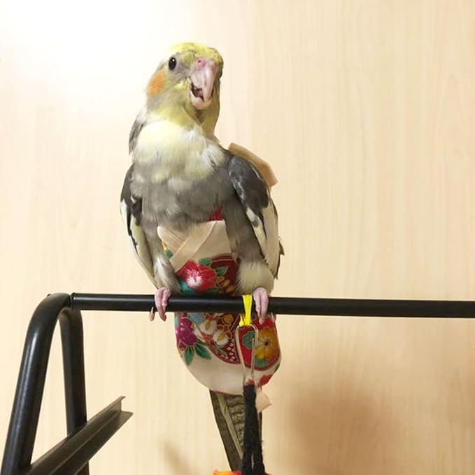 Bird Flight Suits Diapers, Parrot Flight Suits Diapers for Quaker Parakeets Cockatiels Flight Suits, Parrot Clothes (Red,Macaw)
