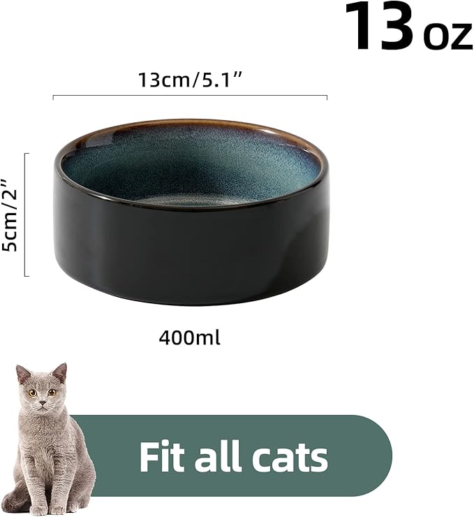 Havniva Cat Water Bowl Set of Two, 5.1” Ceramic Cat Food and Water Bowl Whisker Friendly Pet Water Bowls for Indoor Cats, Wide Kitten Dish Relieve Whisker Fatigue Non Slip Cat Feeder