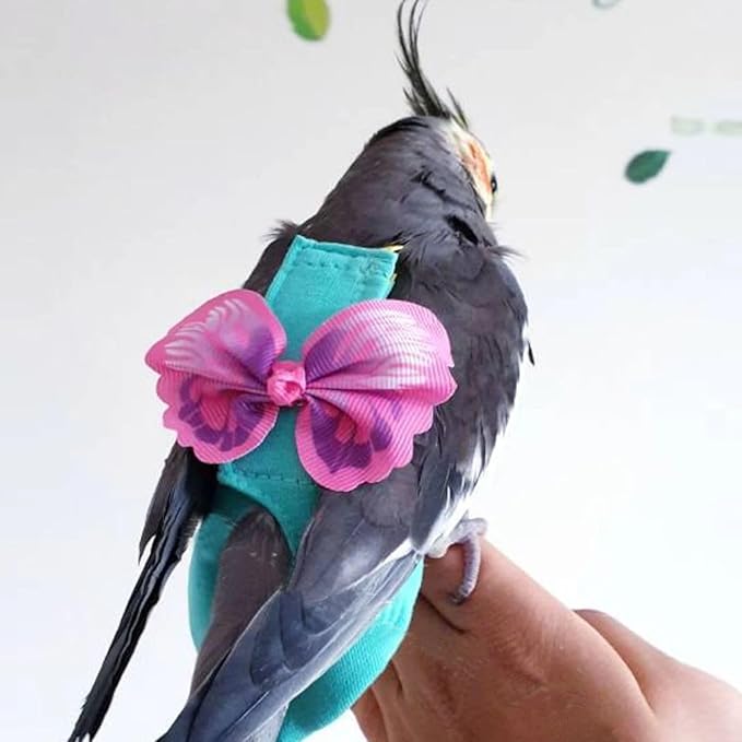 Bird Diaper Harness Flight Suit Clothes, Parrot Flight Suit with Leash for Parrot, Bird Flying Clothes for Outdoor Activities Training (with Leash,M)