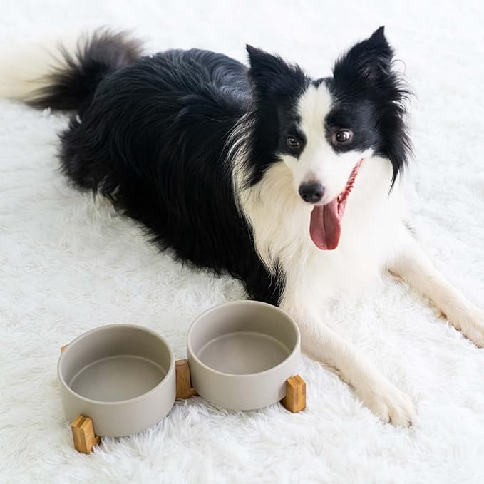 SPUNKYJUNKY Ceramic Dog and Cat Bowl with Wood Stand Non-Slip Matte Glaze Weighted Food Water Set for Cat Medium Dog 28.7 OZ
