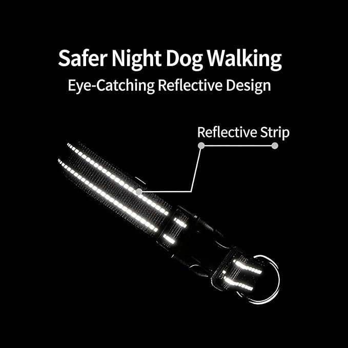 Dog Collar Leash Set, Durable Polyester with Safety Reflective Strips, 5 ft Matching Leash, Neoprene Padded Handle, Adjustable 4 Sizes for Small Medium Large Dogs.(M, Pink)