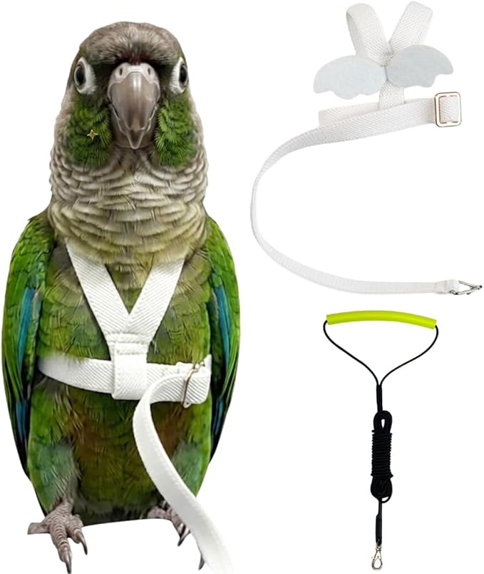 Adjustable Bird Harness with Elastic Leash, Pet Parrot Harness and Leash, Adjustable Training Design Anti-Bite, Bird Nylon Rope with Cute Wing for Conure (White,M)
