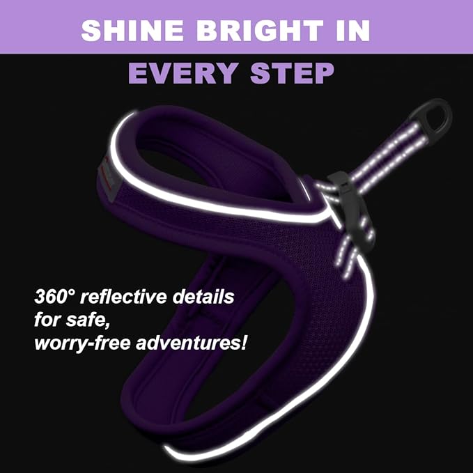 Cat Harness and Leash Set,Escape Proof Kitten Harness,Step in Adjustable Soft Lightweight,Easy Control,Reflective Strips Comfortable for Walking Travel(Purple,M)