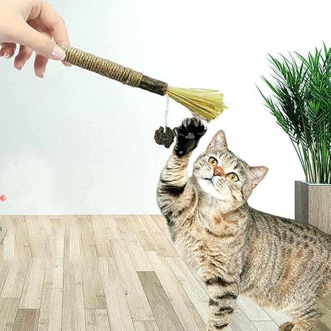 8Pcs Silvervine Sticks for Cats,Cat Chew Stick Toys,Natural Silvervine Sticks Interactive Toy for Cat Teeth Cleaning and Dental Care