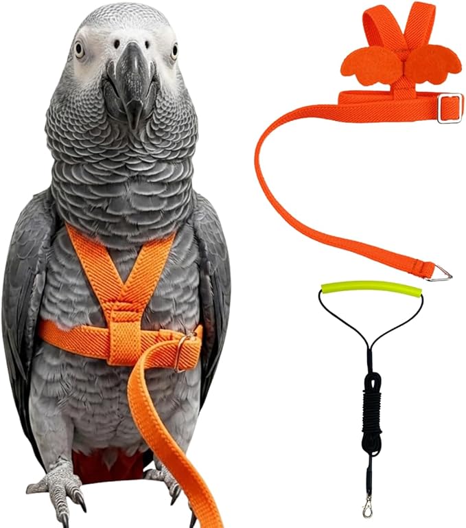 Adjustable Bird Harness with Elastic Leash, Pet Parrot Harness and Leash, Adjustable Training Design Anti-Bite, Bird Nylon Rope with Cute Wing for Conure (Orange,XXL)