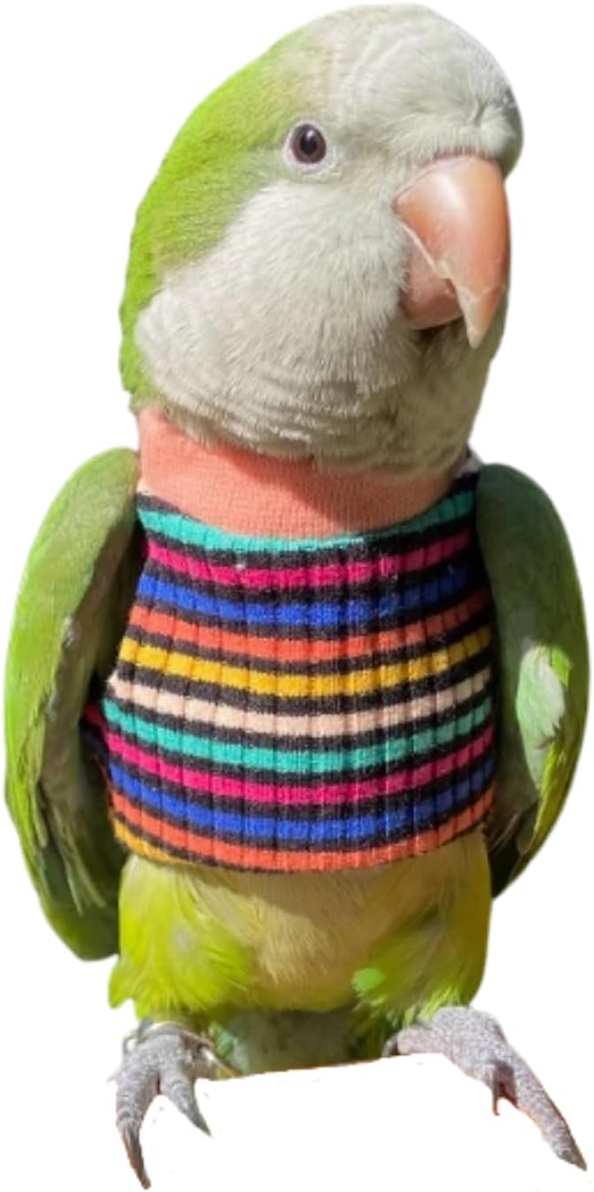 Bird Clothes - Handmade Cotton Stripe Shirt Round Collar Sweater Flight Suit for Parrots African Greys Parakeet Cockatiel Sun Conure Christmas Halloween (Without Diaper,L)