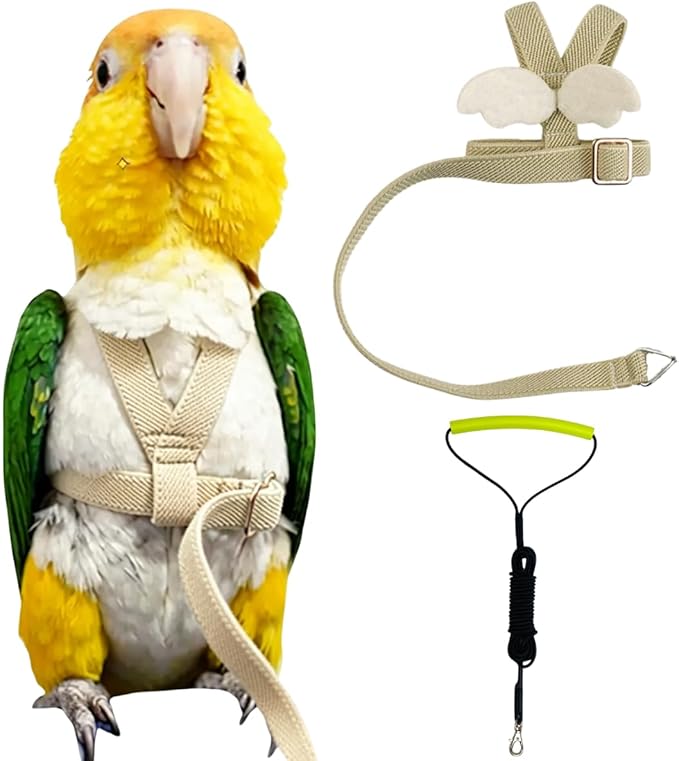 Adjustable Bird Harness with Elastic Leash, Pet Parrot Harness and Leash, Adjustable Training Design Anti-Bite, Bird Nylon Rope with Cute Wing for Conure (Beige,XL)