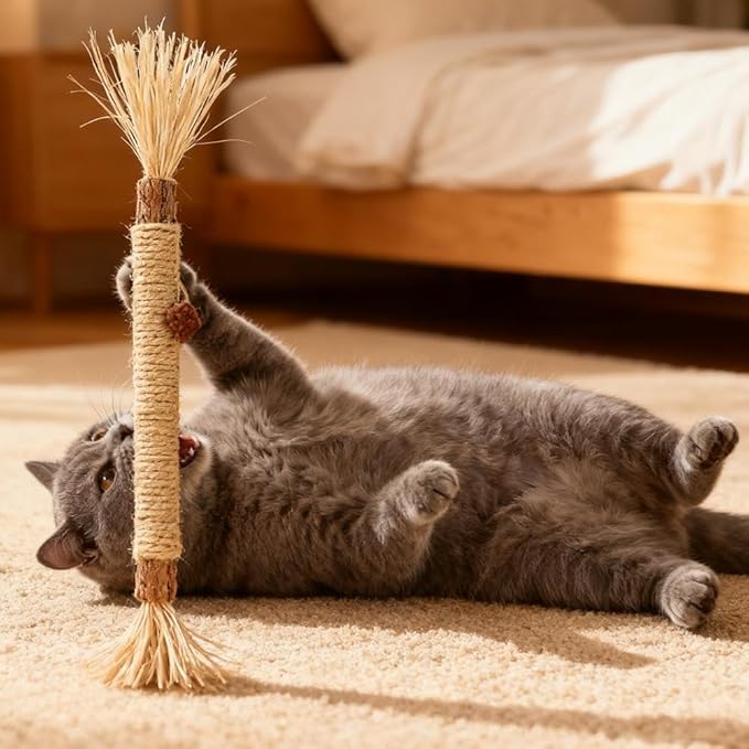8 Pcs Puriq Natural Silvervine Dental Sticks,Silvervine Sticks for Cats, Interactive Cat Chew Stick for Teeth Cleaning, Scratch & Bite Resistant, for Indoor Kitty Fresh Breath