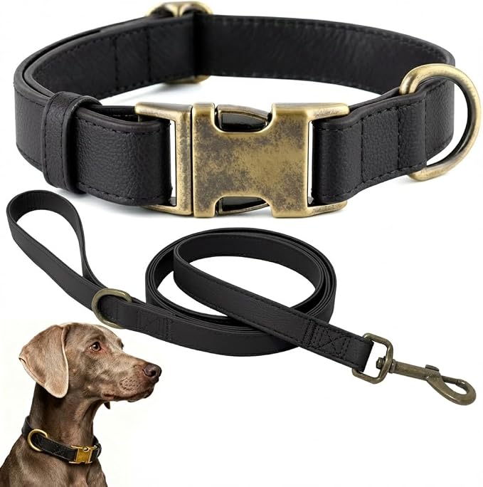 Silicone Dog Collar and Leash Set, Waterproof & Odor-Proof Puppy Collar for Small Dogs, Soft Flexible Leather-Look Dog Collars, Durable Thick Adjustable Pet Collar (Black, Medium (12.5-20" Neck))