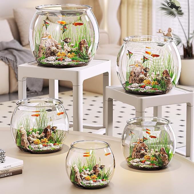 Mini Aquarium 1.5 Gallon Transparent Plastic Desktop Bookshelf Size 6 Inch Diameter for Betta Fish Lovers Clear Compact Avoiding Overcrowding in Apartments
