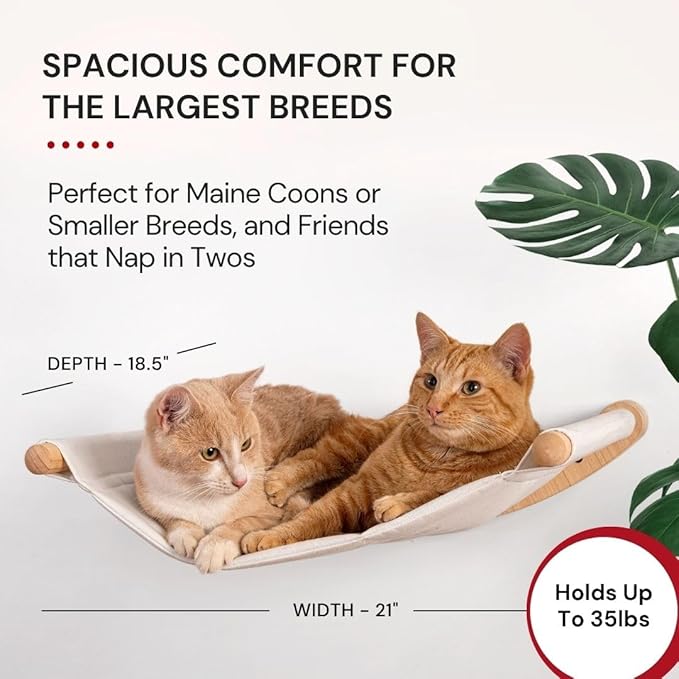 7 Ruby Road Cat Hammock Wall Mounted for Large Cats, Wood Perch Bed for Indoor Cats, Modern Cat Window Furniture & Shelves