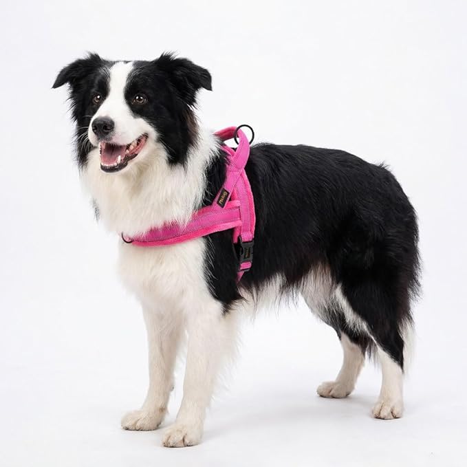 Didog Soft Flannel Padded Dog Vest Harness, No Pull/Quick Fit Reflective Dog Strap Harness, Easy for Training Walking (M:Chest 22-26", Hot Pink)