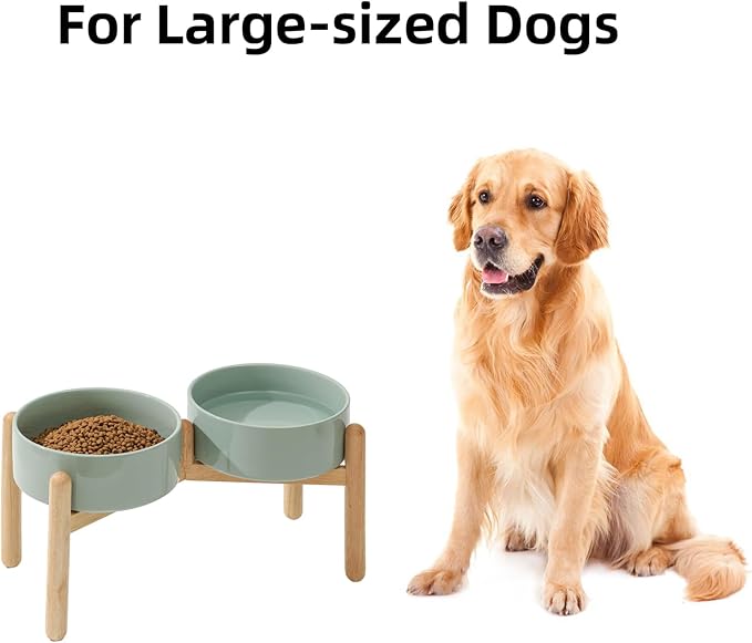 Havniva Ceramic 8.2inch Raised Dog Bowl with Stand for Large- Breed Dogs, Pet Food and Water Feeder (Double Bowl with Stand - Light Green)