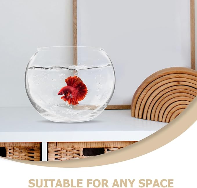 Baluue Round Glass Fish Bowl 5.90 in Clear Bubble Bowl for Fish Plants Flowers Shells and Crafts Compact Desktop for Home Office Shop Decor Centerpieces Terrarium