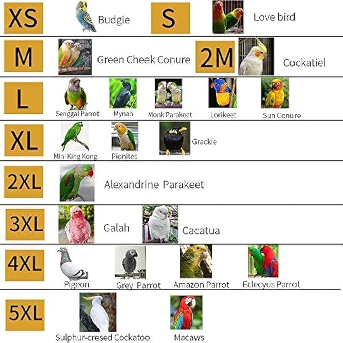 Bird Harness Leather Set Tuxedo Flight Suits with Nappy Diapers Waterproof Inner Layer Urine Wet for Parrot Cockatiel Conure Parakeet Macaw Budgie (XL)